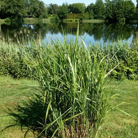 Haus Am Kiessee - Mediterranes Flair Mit Seeblick By Interhome Appartamento