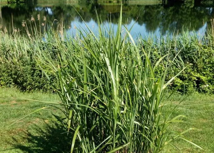 Haus Am Kiessee - Mediterranes Flair Mit Seeblick By Interhome Appartement